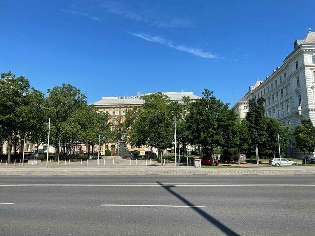 Von der Initiative Stadtbildschutz immer kritisiert: Die Grünfläche in der Lothringerstraße wird vernichtet. Die Bäume bleiben laut dem neuen Plan aber. | Foto: Hannah Maier