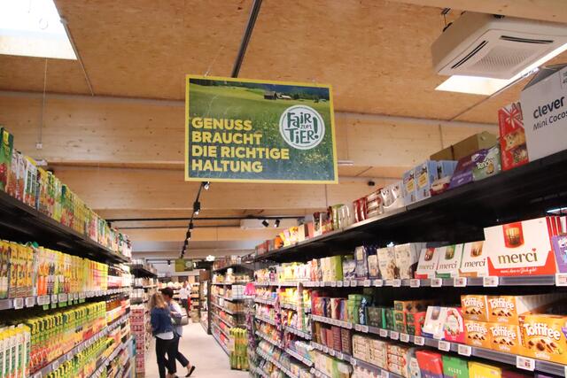 Foto: Martin Wurglits