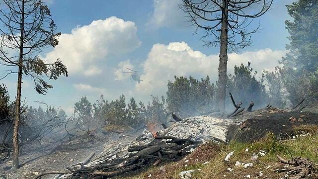 Am Montagnachmittag brach im Gemeindegebiet von Brandenberg ein Waldbrand aus. Aufgrund der Lage und der Art des Brandes gestaltete sich der Einsatz äußerst schwierig.  | Foto: ZOOM.TIROL