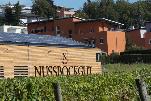 Heute präsentiert sich das Nussböckgut als modern geführter Hof mit den beiden Hauptbetriebszweigen Spargel- und Weinanbau. | Foto:  Velechovsky