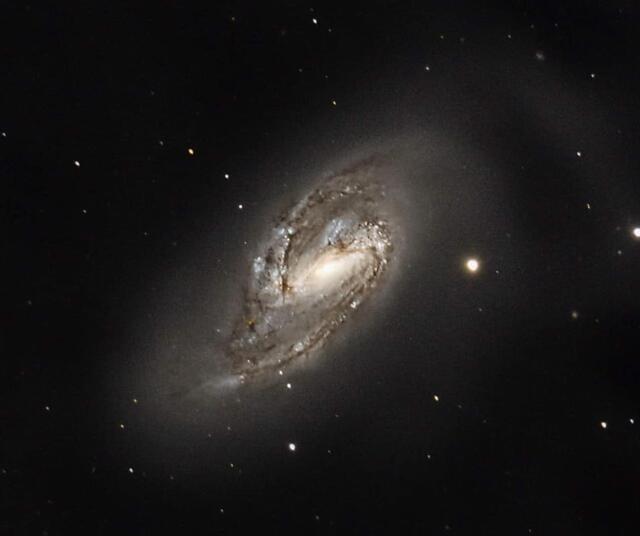 Die Galaxie Messier 66 im Sternbild Löwe | Foto: Günter Kleinschuster