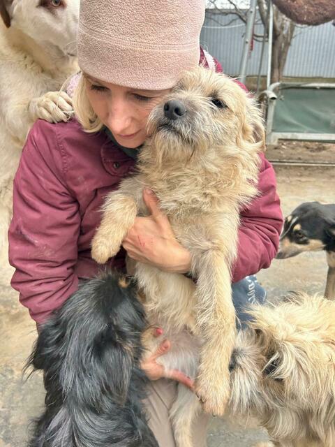 Sonja Dürrschmid reist mehrmals im Jahr nach Rumänien. Die Klagenfurterin kann so garantieren, dass die Spendengelder auch wirklich ankommen. | Foto: Flori and Friends/Suntinger