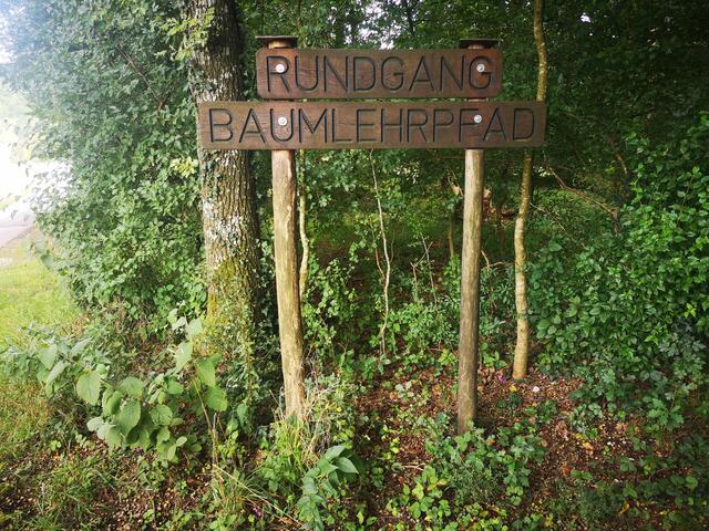 An 47 Stationen des Baumlehrpfades können Spaziergänger Interessantes über Mythologie, Brauchtum und die heilkundliche Verwendung heimischer Bäume und Sträucher im „Winklinger Wald“ erfahren. | Foto: BRS