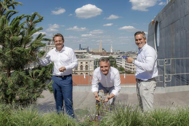 Signa-Vorstand Claus Stadler mit Habau-Geschäftsbereichsleiter und Thomas Reicher, Sean Hill Managing Director Central Group am Dachpark des künftigen "Lamarr". | Foto: Fürnkranz