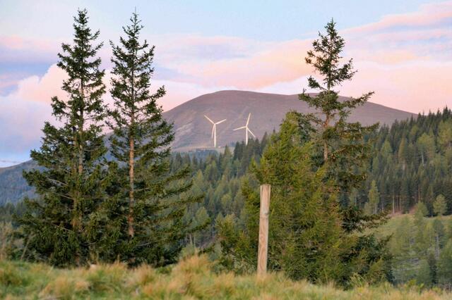 Nach der finalen Version des Rechnungshofs bestätigt sich die Kritik an der Vergabe von UVP-Bescheiden. Eines der Projekte, bei dem es Verdächtigungen gibt: die 17 genehmigten Windräder auf der Stubalm. | Foto: Penz