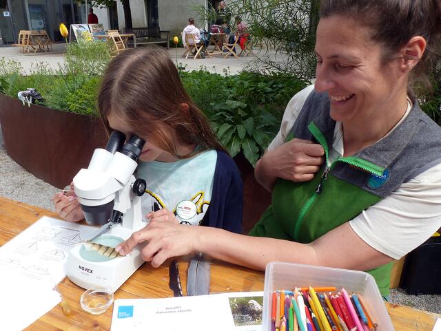 Ferienprogramm im schlossORTH Nationalpark-Zentrum | Foto: heldenderfreizeit.com