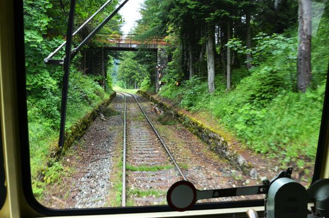 Themenfahrt "Sommerkonzert" der Erzbergbahn mit der Musikschule Leoben. | Foto: WAFO