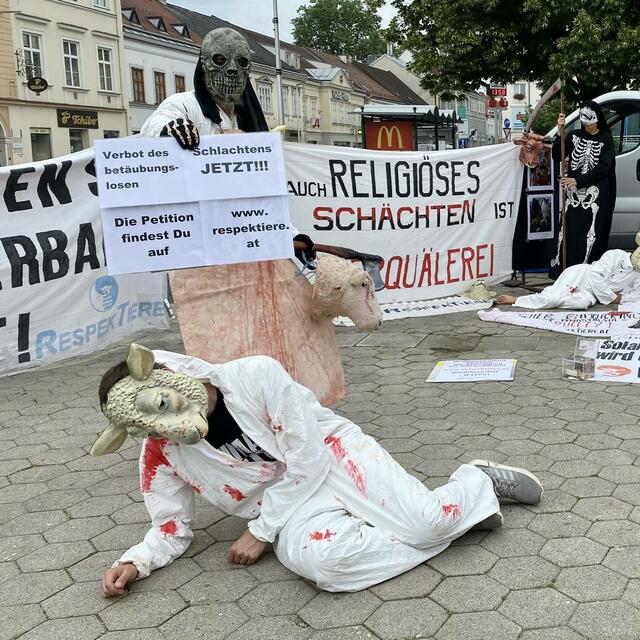 Foto: Anton Lichtenberger