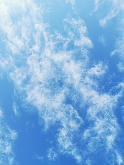 Frei wirst du sein - leicht getragen, liebevoll empfangen, im Licht der Liebe am Ende der Reise.  | Foto: Ulrike Maria Plank