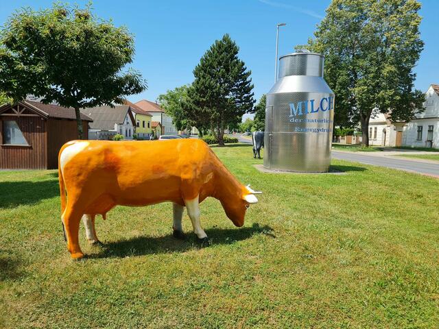 Milchkanne und Kühe am Dorfanger. | Foto: Otto Krcal