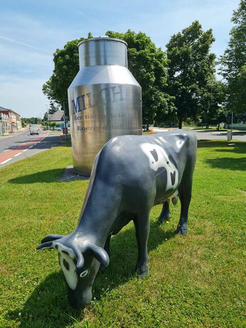 Kuh | Foto: Otto Krci