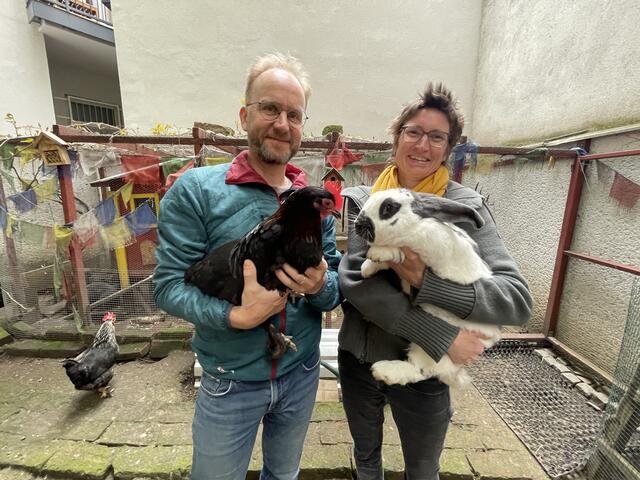 Michael und Lisi Kampel gründeten ihre "Grätzlfarm" aus Liebe zum Tier. Beinahe täglich werden sie mit frischen Eiern belohnt.  | Foto: Patricia Hillinger
