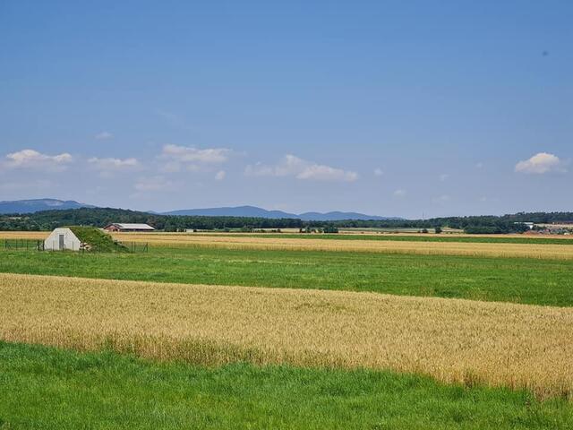 landwirtschaftliche Fläche | Foto: Otto Krcal