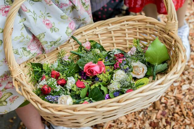 Foto: Gerhard Pulsinger