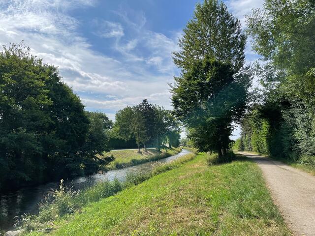 Naarn-Fluss in Kickenau, Perg, nahe der Hundefreilaufzone. | Foto: MeinBezirk Perg