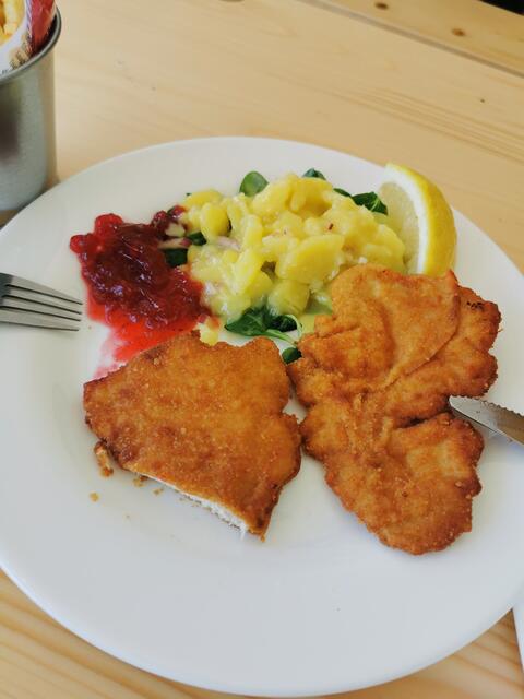 Ein Leser aus dem Bezirk Mistelbach ärgert sich über das schlechte Preis/Leistungsverhältnis seines Wiener Schnitzels am Wieselburger Volksfest. | Foto: Oliver Waldner