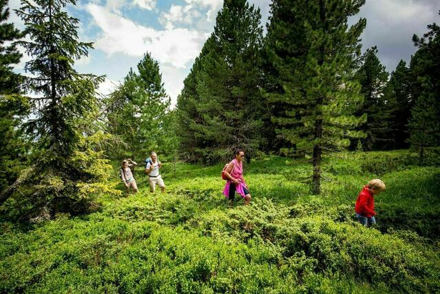 Die Sommersaison auf den Almen hat bereits gestartet, denn die Berge laden zu Wanderausflügen ein.  | Foto: KB/ikarus.cc