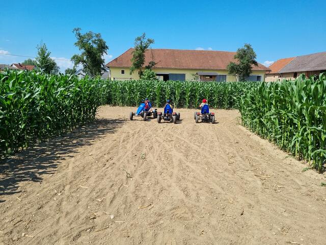 Das Labyrinth bietet Spaß für Jung und Alt – zum Beispiel auch auf der Go-Kart-Bahn. | Foto: Forstner