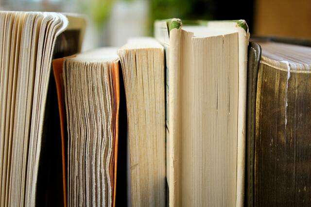 Diesmal mussten die Schülerinnen und Schüler Rätsel aus Graphic Novel und Literatur schaffen.  | Foto: Syd Wachs auf Unsplash