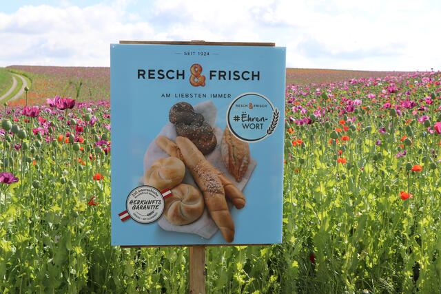 Die Firma Resch&amp;Frisch könne durch rund 350 Partner-Landwirte die Herkunft der Inhaltsstoffe ihrer Backwahren nicht nur zurückverfolgen, sondern auch für die Qualität garantieren. | Foto: Resch&amp;Frisch