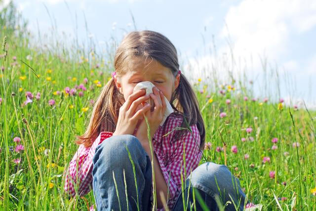Auch im Juli herrscht noch eine hohe Gräserpollenbelastung für alle Allergiker.  | Foto:  stock.adobe.com - photophonie