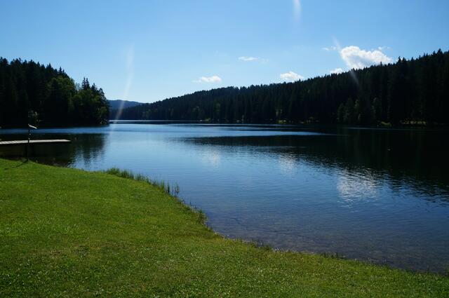 An den freien Seezugängen des Packer Stausees ist Hunden das Baden erlaubt, nicht aber beim öffentlichen Badeplatz.  | Foto: Harald Almer