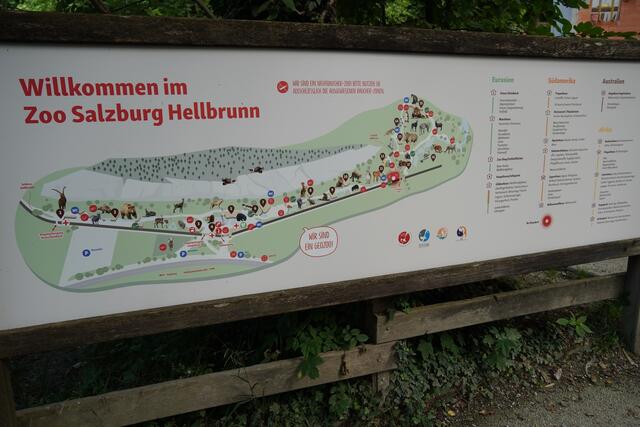 Eine Ansicht des Geländes des Salzburger Zoo. | Foto: Emanuel Hasenauer