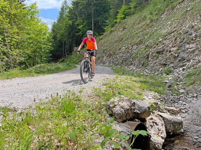 Eine wunderschöne Mountainbike-Tour im Tennengau führt zum idyllischen Seewaldsee in St. Koloman.  | Foto: Theresa Kaserer-Peuker