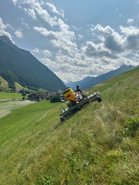 In Neustift und Tux wurde ein Pilotprojekt zur biologischen Engerlingsbekämpfung in Steilhängen gestartet.  | Foto: Lukas Peer 