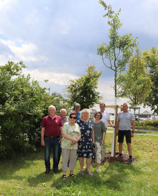 Obmann Karl Lagler, Leopold Dorner, Ingrid Kretschmer, dahinter Kurt Lenitz, Silvia Ihm, Otti Stöberl (Verschönerungsverein Lerchenfeld), Stadtrat Werner Stöberl (Stadtbetriebe) und Betriebsleiter der Stadtgärten Eduard Pauer (von links) vor dem Zürgelbaum im Lerchenfelder Stopfer Park. | Foto: Stadt Krems