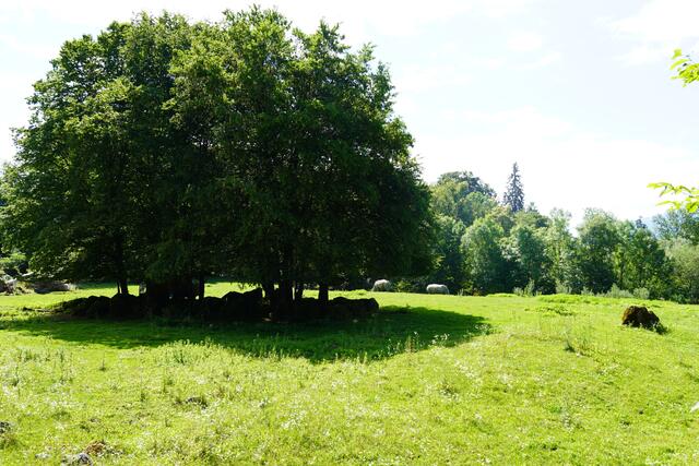 Das weitläufige Afrika-Gelände im Zoo Salzburg. | Foto: Emanuel Hasenauer