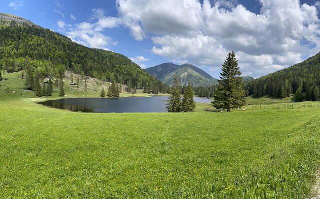 Eine wunderschöne Mountainbike-Tour im Tennengau führt zum idyllischen Seewaldsee in St. Koloman.  | Foto: Theresa Kaserer-Peuker