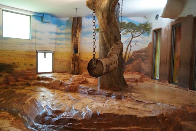 Das leere Löwengehege von Innen. | Foto: Emanuel Hasenauer