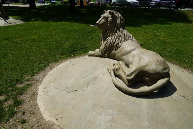 Der neu gestaltete Eingangsbereich des Salzburger Zoo. | Foto: Emanuel Hasenauer