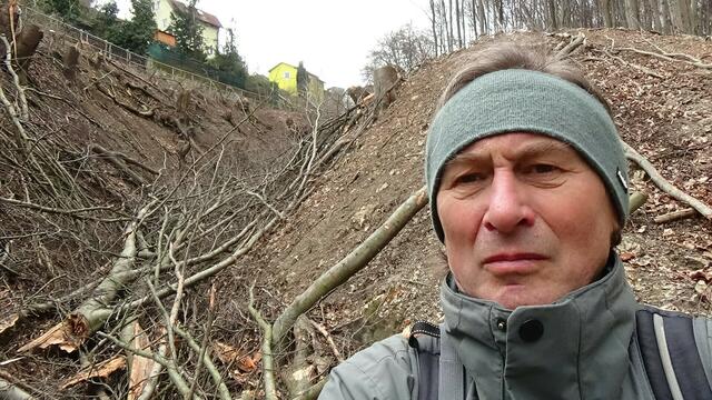 Klaus Wechselberger ist immer wieder in den Wäldern Wiens unterwegs.  | Foto: Umweltinitiative Wienerwald