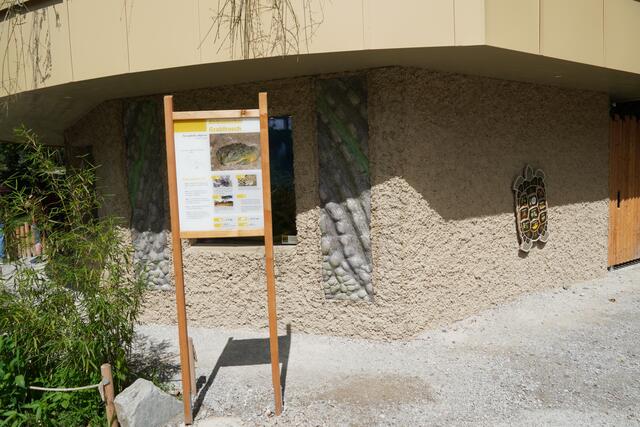 Ein ganz neues Zuhause für Schildkröten und Co. | Foto: Emanuel Hasenauer