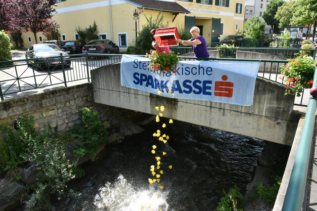 Foto: Gerald Dreisiebner