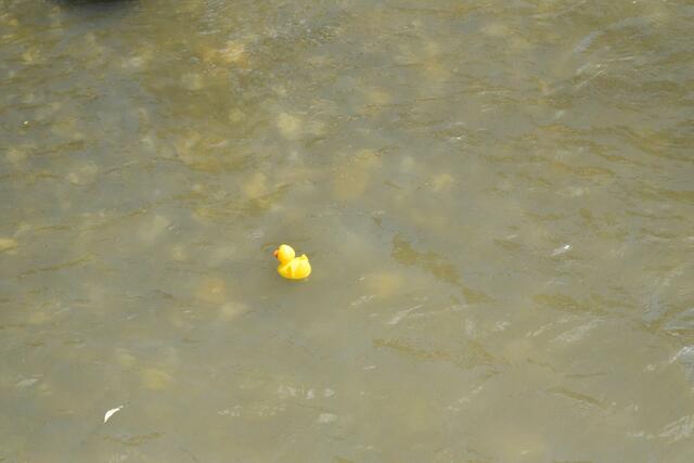 Foto: Gerald Dreisiebner