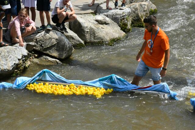 Foto: Gerald Dreisiebner