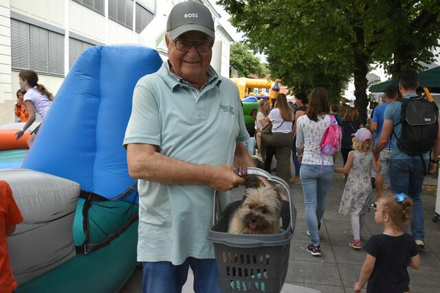 Foto: Gerald Dreisiebner