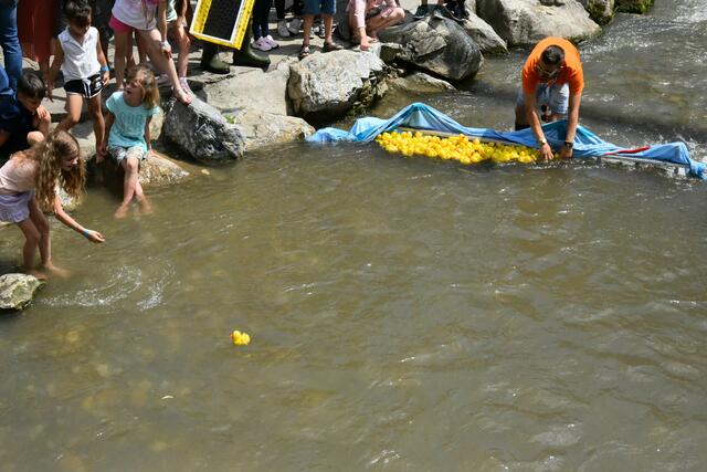 Foto: Gerald Dreisiebner