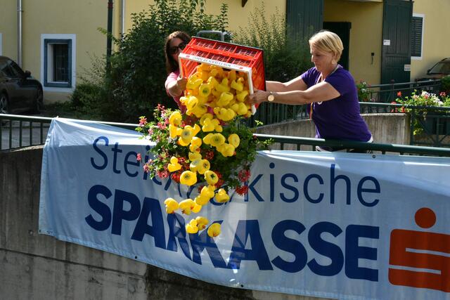 Foto: Gerald Dreisiebner