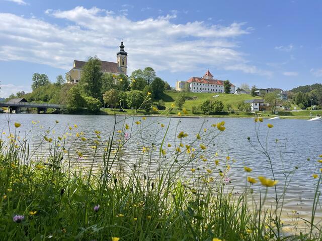 Der Badesee in Waldhausen im Strudengau. Das 50-Jahr-Jubiläum wurde im Vorjahr gefeiert. | Foto: BRS/Köck