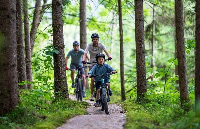 Mit dem neuen Singletrack Haus-Aich wurde in der Region Schladming-Dachstein ein einzigartiges Einsteigerprodukt für die ganze Familie geschaffen. | Foto: Christoph Oberschneider