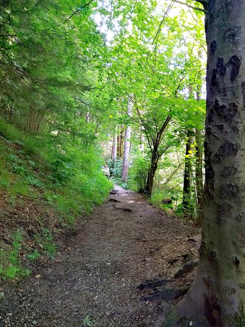 Durch Hirschwang durch und endlich bin ich auf Waldboden.