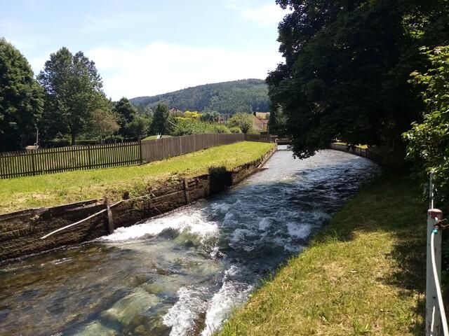 Ein Seitenarm der Schwarza an der Wehr von anfangs