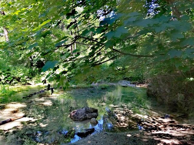 Beim Retourgehen genieße ich noch die angenehme Kühle im Wald, bevor es dann wieder auf asphaltiertem Wege weitergeht.