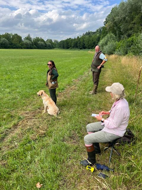 Foto: Flachberger/Guns 'n' Dogs