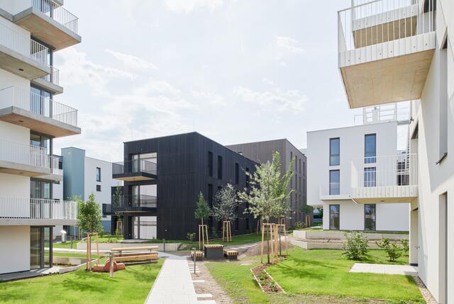 Die letzten Eigentumswohnungen im Wildgarten wurden fertig gestellt. Natürlich wurden auch Bäume gepflanzt. | Foto: Lukas Schaller/ARE