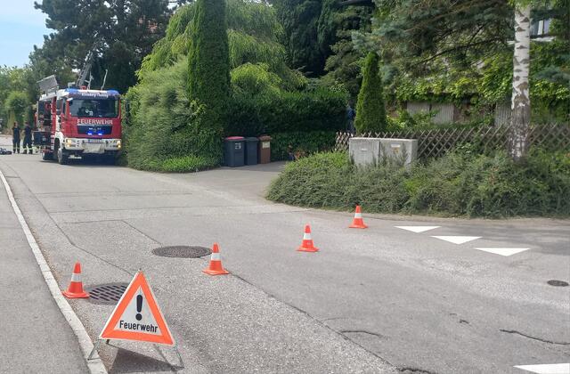 Kein Verständnis für die Einsatzkräfte zeigten Radfahrer in Kirchberg-Thening bei einer Tierrettung. | Foto: FF Kirchberg-Thening